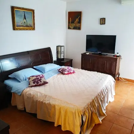 Villa Seka Budva Exterior photo